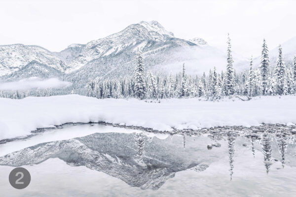 blaeberrysnowprint blaeberrysnowprint