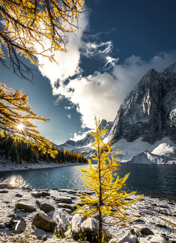 larchprint larchprint