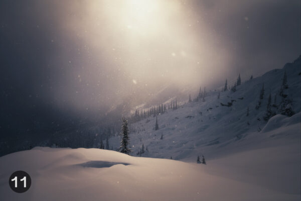 magictreeprint magictreeprint