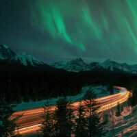 morantsaurora_websitepreview